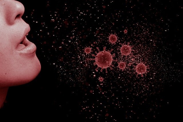 Coronavirus: How It Affects the Body and Causes Grim Harm to the Host Cells (Update)