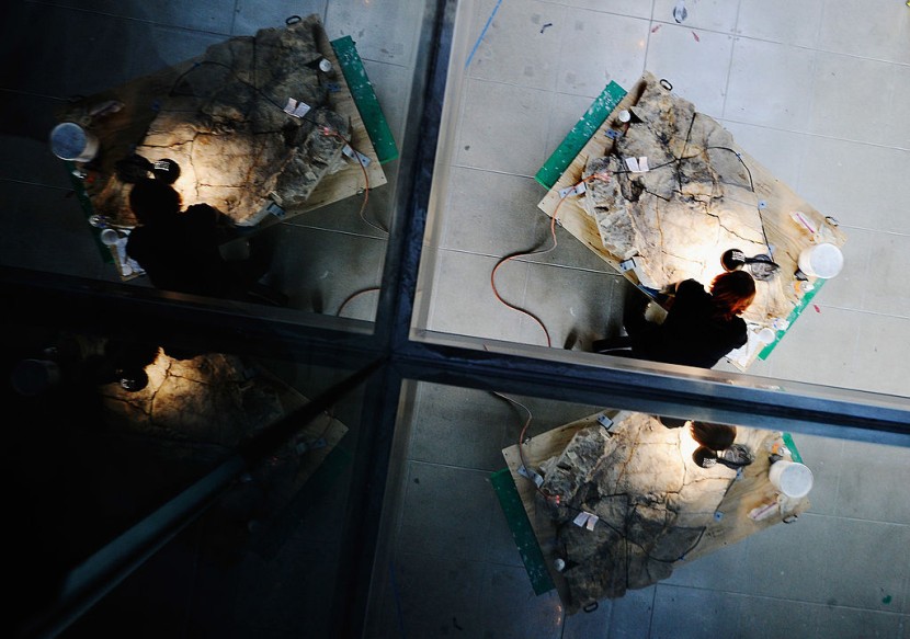 Natural History Museum of L.A. Prepares New Centerpiece For Dinosaur Hall