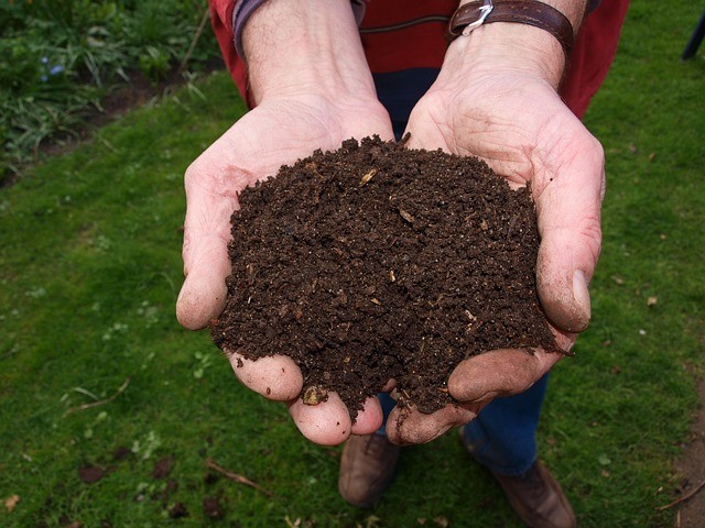 Funeral Home in the US turns Human Bodies to Compost Open for Business