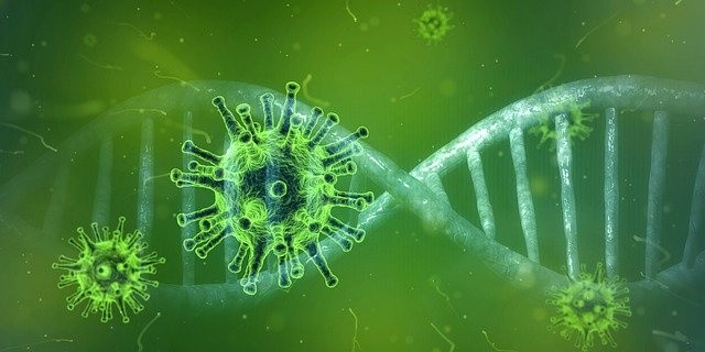 COVID-19 Variants are Mutations Produced During Transmission