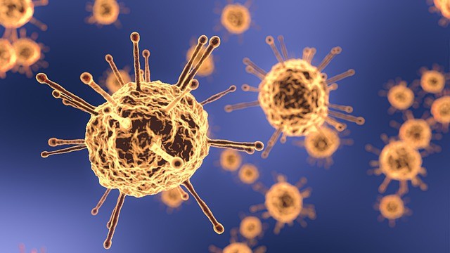 COVID-19 is the Reason for Swelling Muscle that is a Severe Immune Response Speculated by Study