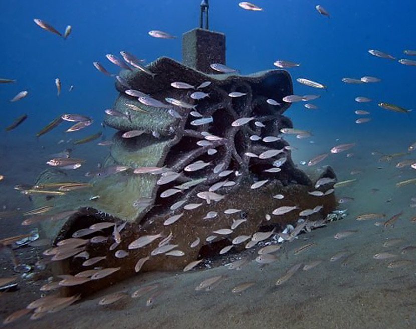 FRANCE-SEA-ECOLOGY-BIODIVERSITY