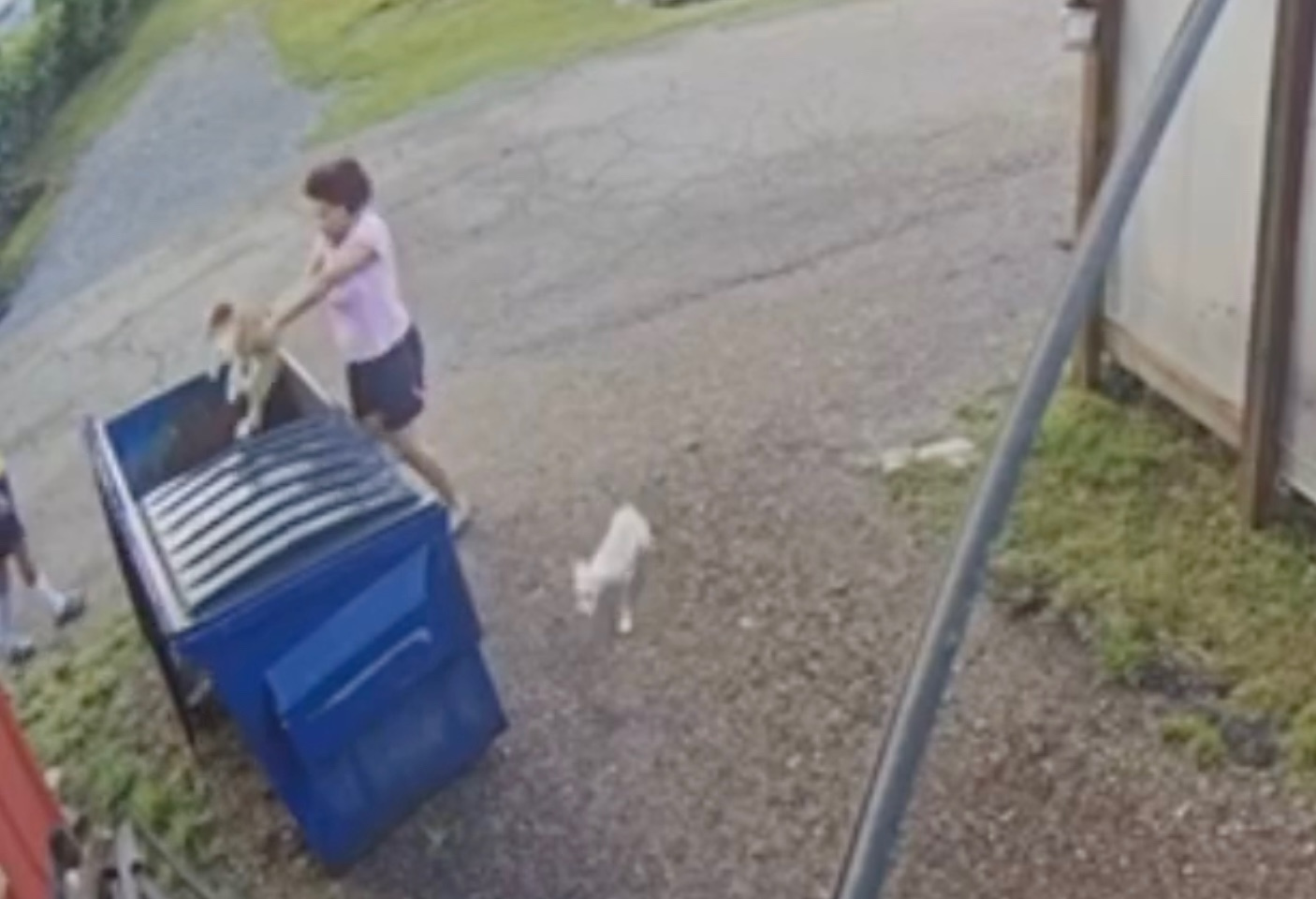 Woman Seen On Video Throwing Puppies In Dumpster In Louisiana Arrested
