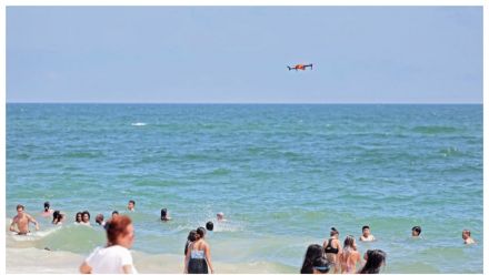 Angry Birds Attack NYC Drones Patrolling for Sharks, Swimmers in Trouble