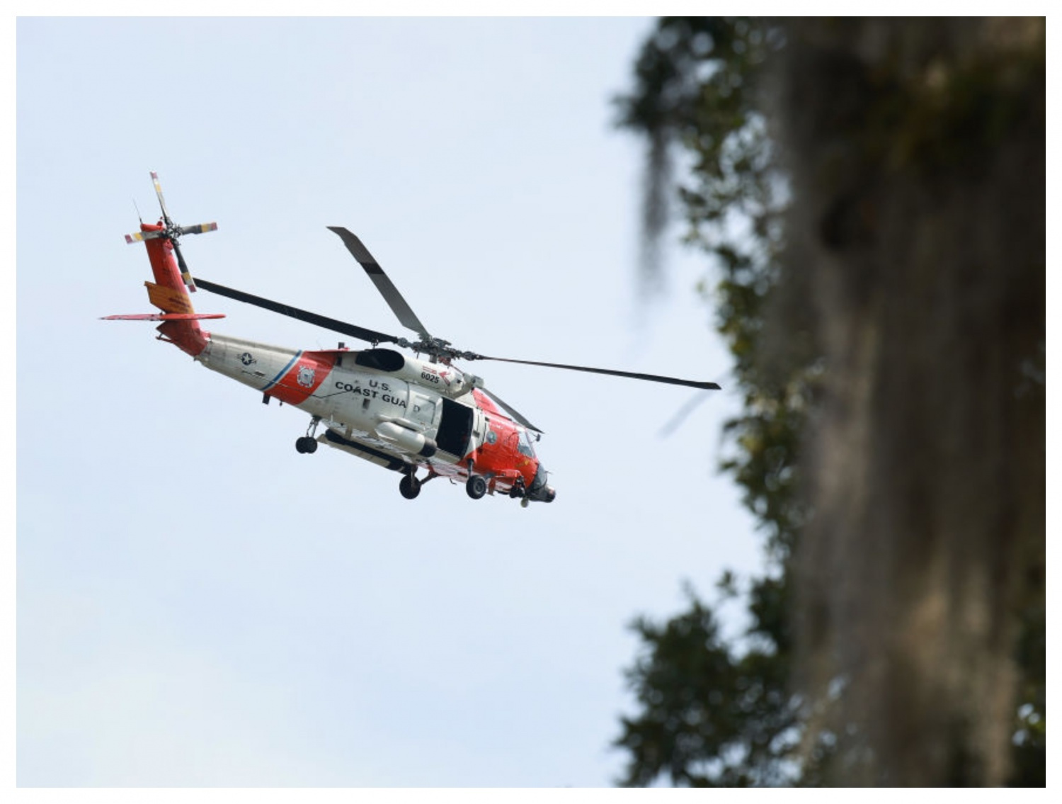 'Miracle Rescue': SCUBA-Diving Couple Saved After Being Missing in Gulf ...