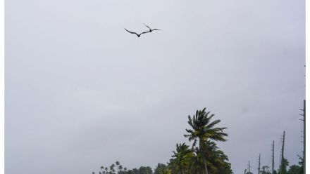 PUERTO RICO-WEATHER-STORM