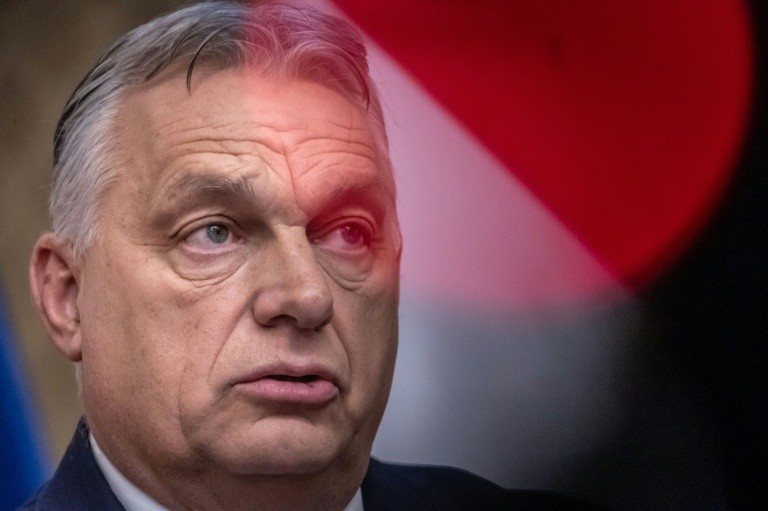 Hungarian Prime Minister Viktor Orban helped launch Patriots for Europe last year