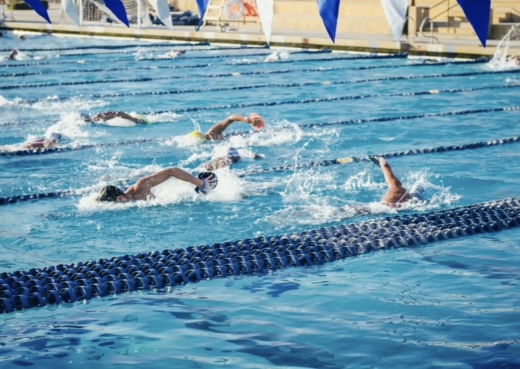 Swimmers