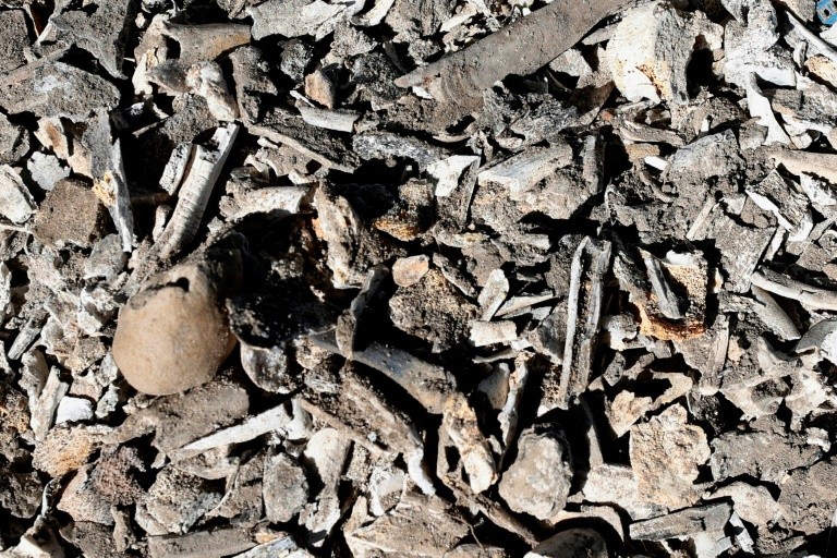 Human bones and clothing were discovered at a ranch in western Mexico in March