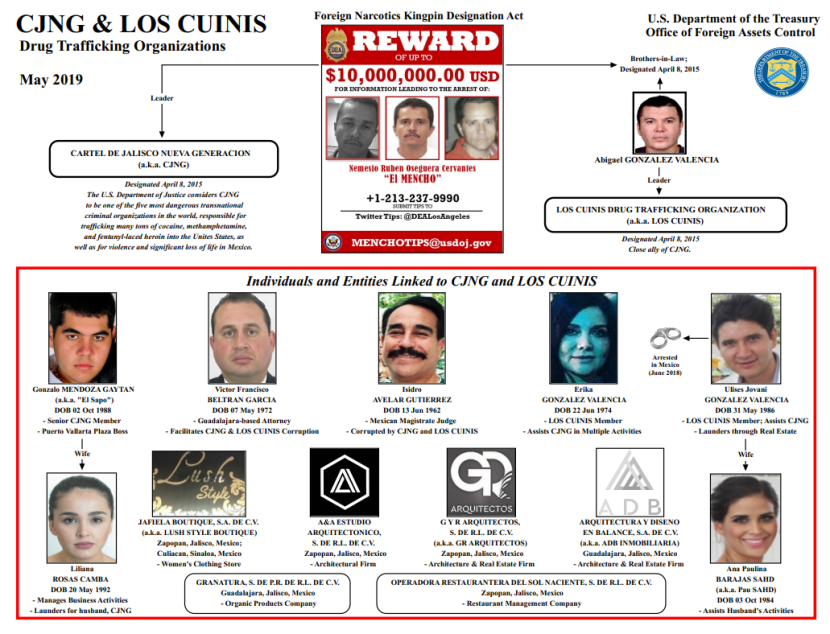 Los Cuinis and CJNG
