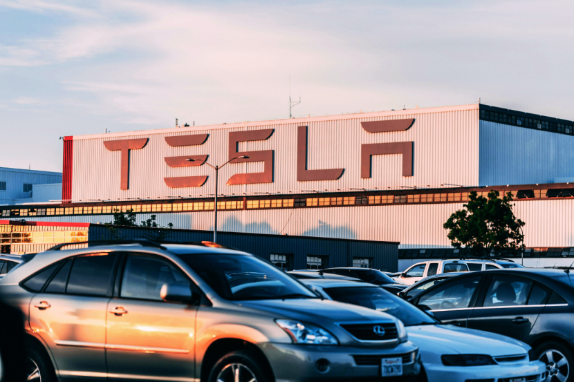 Musk Drops DOGE to Save Tesla
