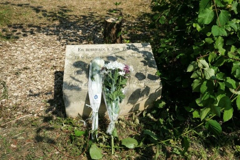 An olive tree, planted in 2011 in Ilan Halimi's memory, was cut down, probably with a chainsaw, in the northern Paris suburb of Epinay-sur-Seine