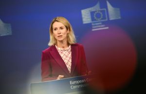 'This is a direct challenge to the international system built on rules,' said Kallas
