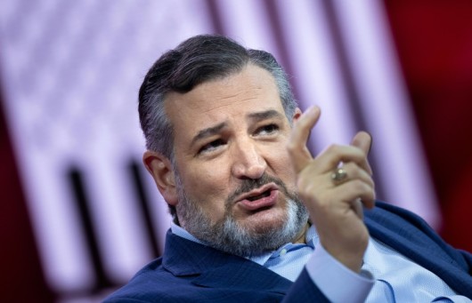 Senator Ted Cruz
