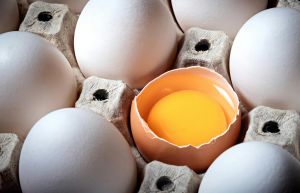 Pennsylvania Egg Heist: 100,000 Stolen Eggs Leave Police Scrambling for