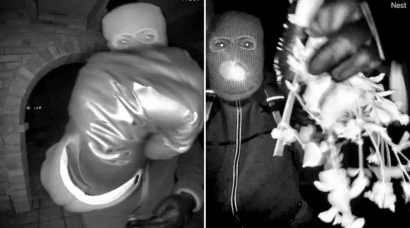 A photo from the CCTV footage of Nancy Guthrie's house