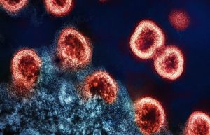 Virus Particles