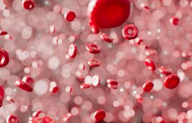 New Research Finds Certain Disease-Causing Bacteria Feeds on Human Blood's Serum