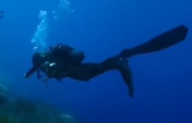 Diver