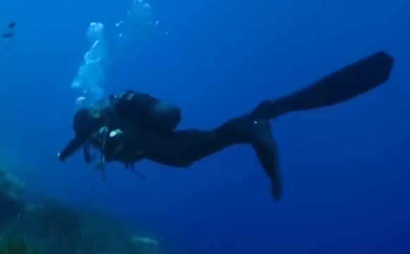 Diver