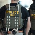 ICE Agent