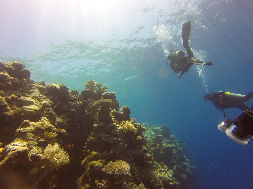 Scuba Dive