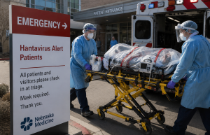 Deadly Hantavirus Reaches U.S. Soil