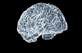 Digital illustration of a human brain