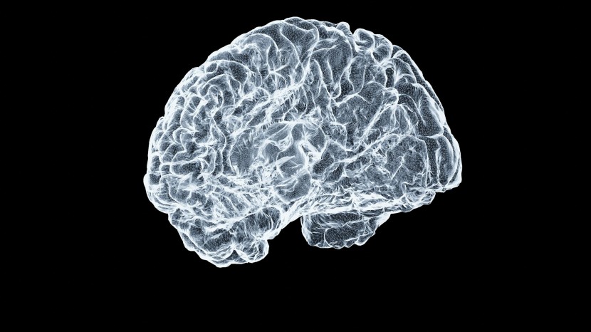 Digital illustration of a human brain