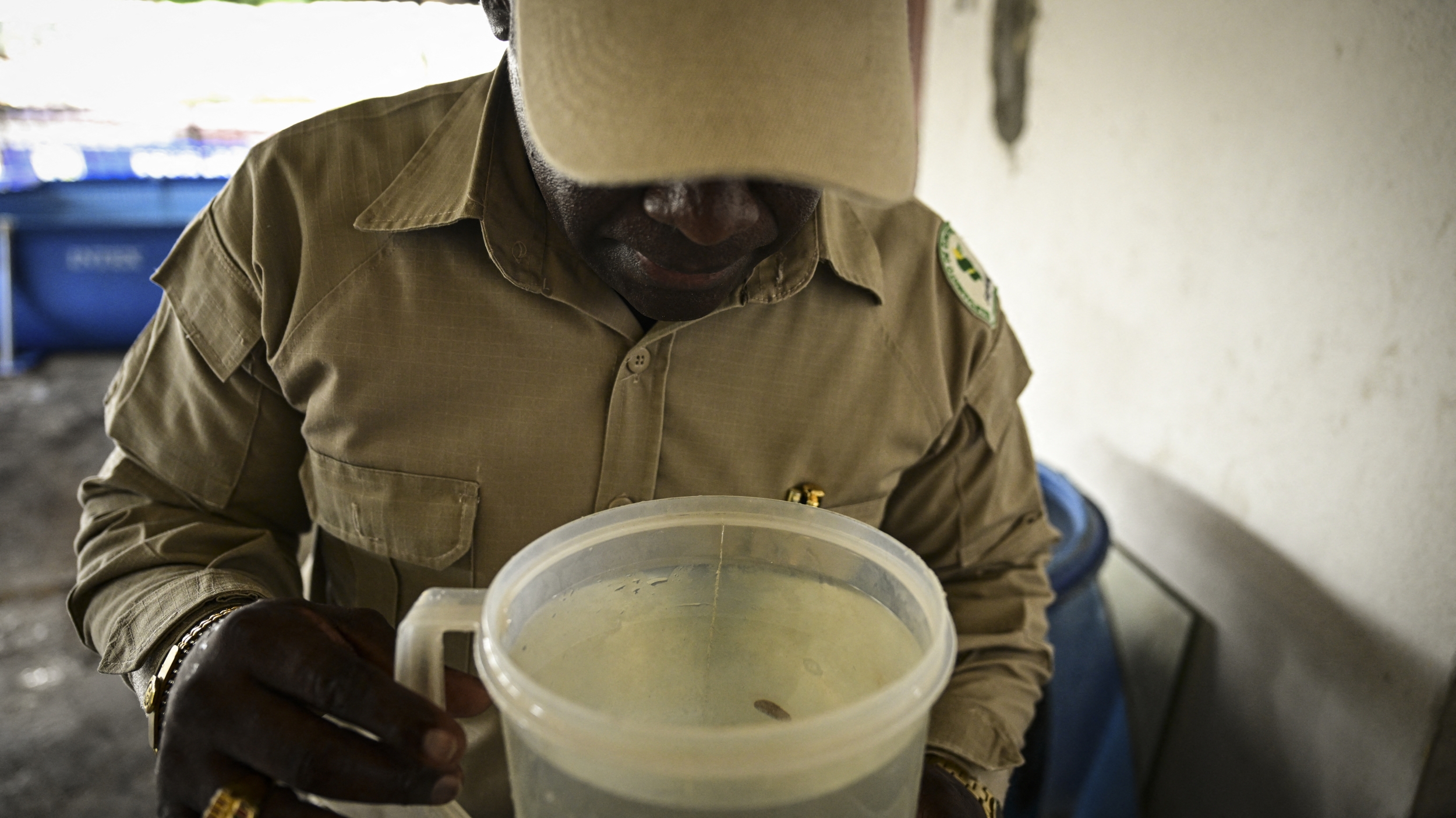 Photo: hngn.com Health Official Inspects Water Container For Mosquito Larvae